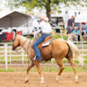 Meet your Posher, Quin